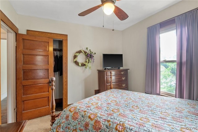 315 Boyden St, Syracuse, NY 13203 - bedroom featuring multiple windows, a ceiling fan, and a closet