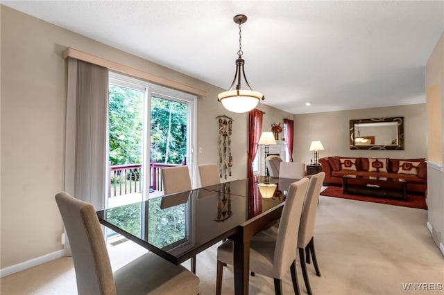 5468 Village Station Cir, Clarence, NY 14221 - photo 20