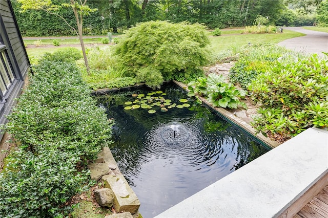 3399 Elmwood Ave, Brighton, NY 14610 - exterior view of a small pond