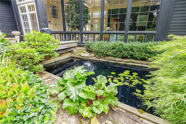 3399 Elmwood Ave, Brighton, NY 14610 - exterior view of a garden pond