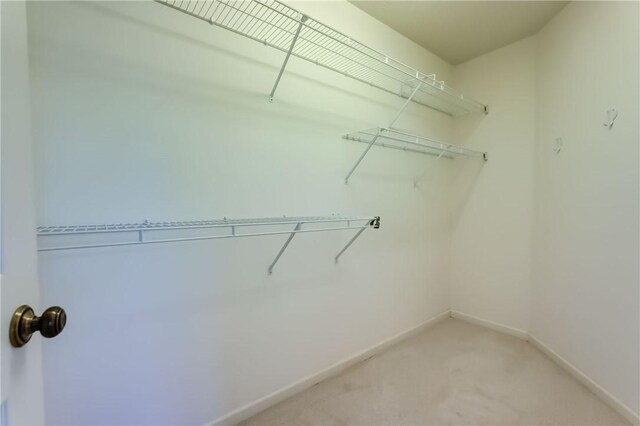 113 Churchview Ln, Henrietta, NY 14534 - photo 25