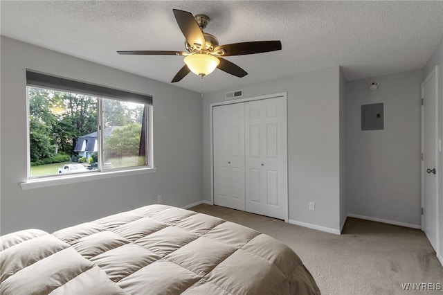 104 Foxberry Dr, Amherst, NY 14068 - photo 13