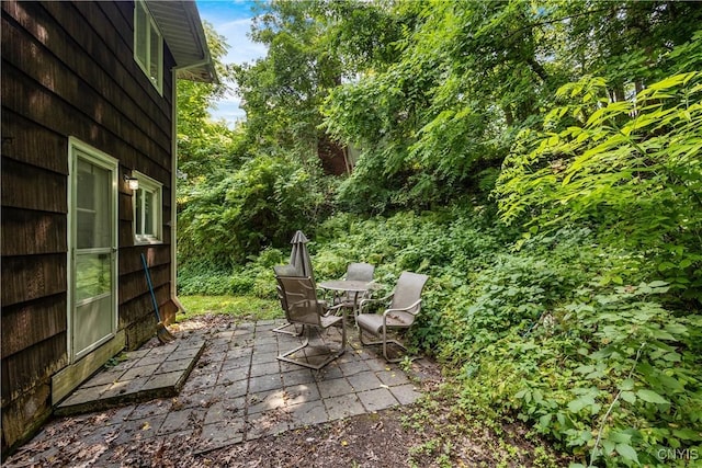 1018-20 Ackerman Ave, Syracuse, NY 13210 - view of patio / terrace
