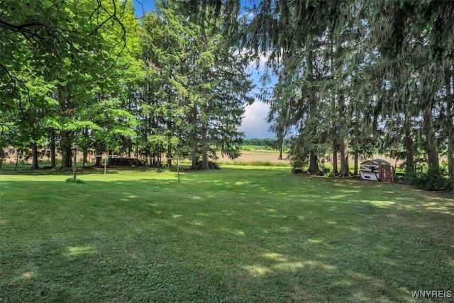 13939 Chaffee-Curriers Rd, Sardinia, NY 14030 - photo 30