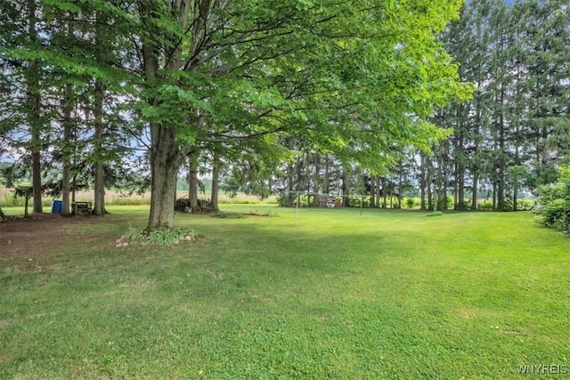 13939 Chaffee-Curriers Rd, Sardinia, NY 14030 - photo 35