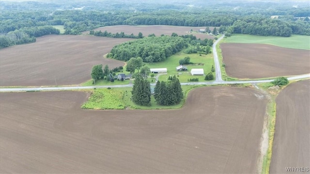 13939 Chaffee-Curriers Rd, Sardinia, NY 14030 - photo 5