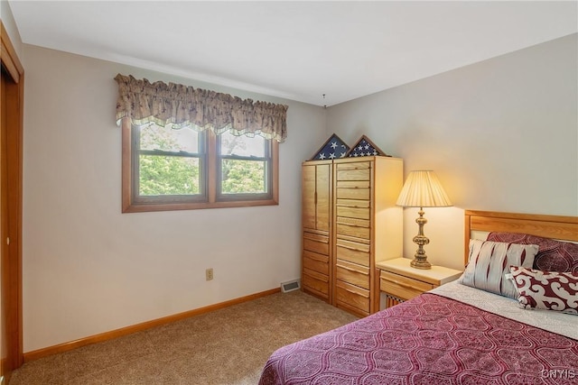 106 Mcardell Rd, Salina, NY 13088 - photo 29
