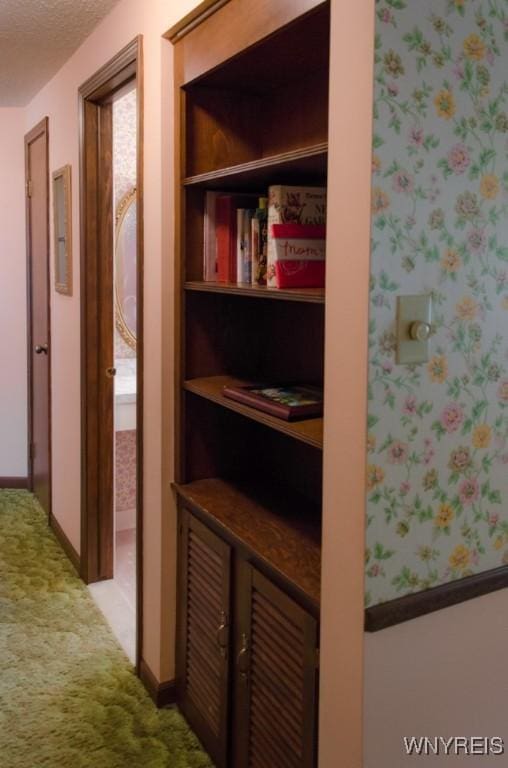 573 Locust St, North Tonawanda, NY 14120 - hallway featuring light colored carpet and baseboards