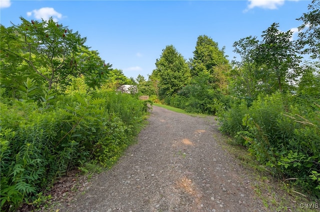 14912 Center Rd, Sterling, NY 13156 - photo 33