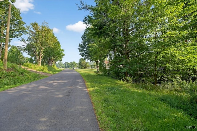 14912 Center Rd, Sterling, NY 13156 - photo 36