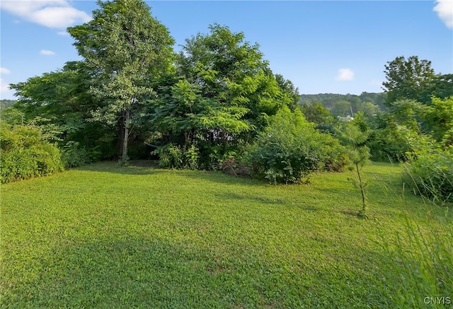14912 Center Rd, Sterling, NY 13156 - photo 16