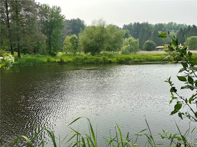 14912 Center Rd, Sterling, NY 13156 - photo 37