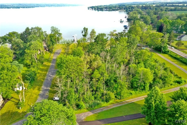 Buck Point Rd, Fleming, NY 13021 - photo 4