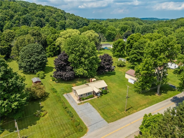 1209 Johnson Rd, Palmyra, NY 14522 - photo 27