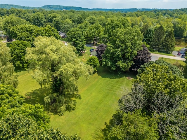 1209 Johnson Rd, Palmyra, NY 14522 - photo 30