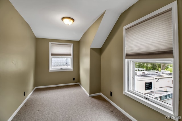 46 Central Blvd, Cheektowaga, NY 14225 - photo 18