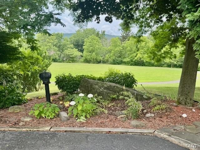 111 Terrace View Dr, Ithaca Town, NY 14850 - photo 3
