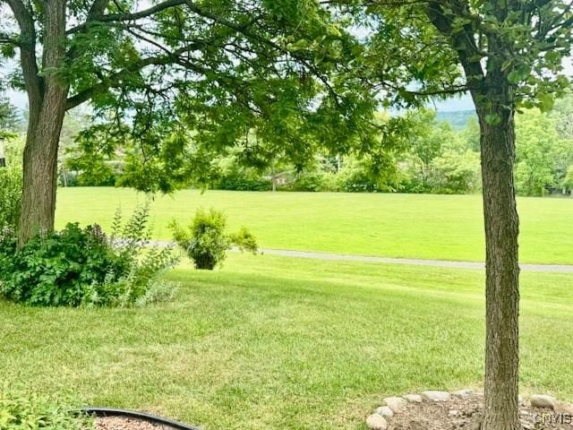 111 Terrace View Dr, Ithaca Town, NY 14850 - photo 10