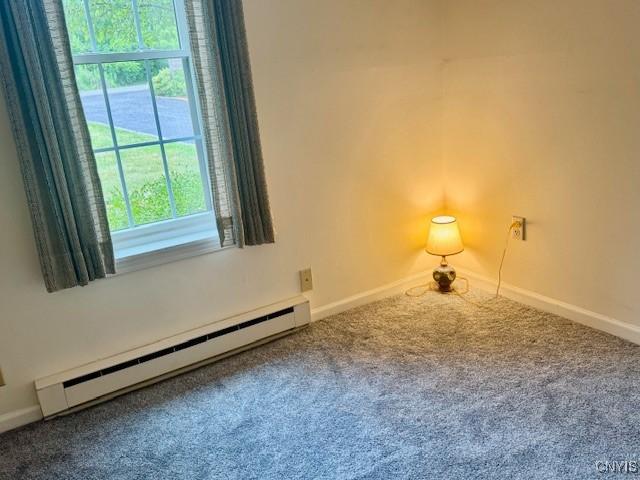 111 Terrace View Dr, Ithaca Town, NY 14850 - photo 14