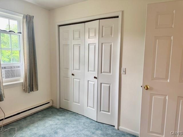 111 Terrace View Dr, Ithaca Town, NY 14850 - photo 31