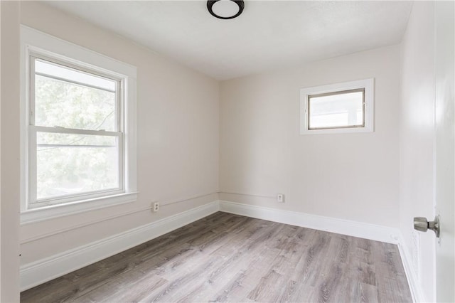 165 Clay Ave, Rochester, NY 14613 - photo 23
