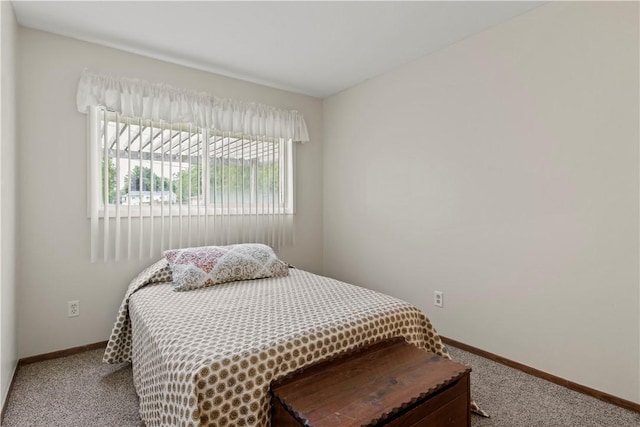 111 Crimson Bramble Rd, Henrietta, NY 14623 - bedroom with carpet flooring