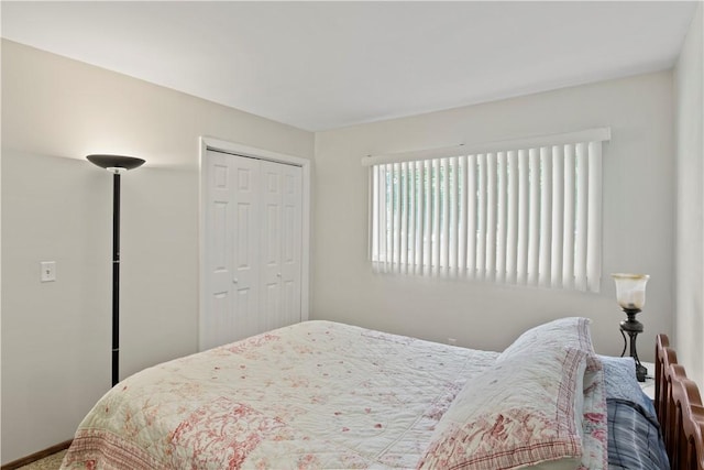 111 Crimson Bramble Rd, Henrietta, NY 14623 - bedroom featuring a closet