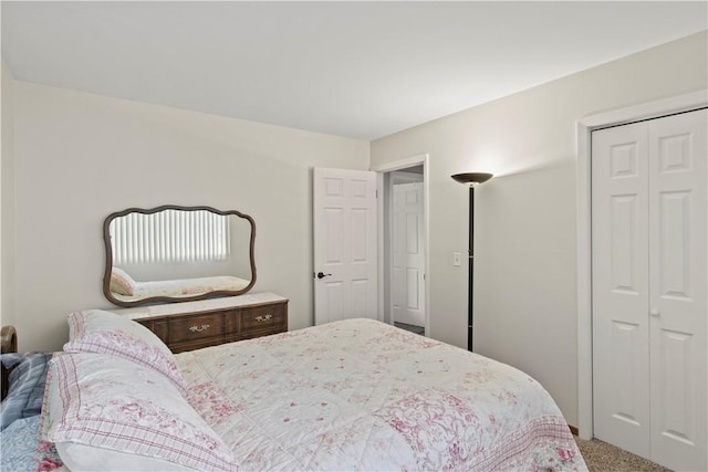 111 Crimson Bramble Rd, Henrietta, NY 14623 - bedroom with carpet flooring and a closet