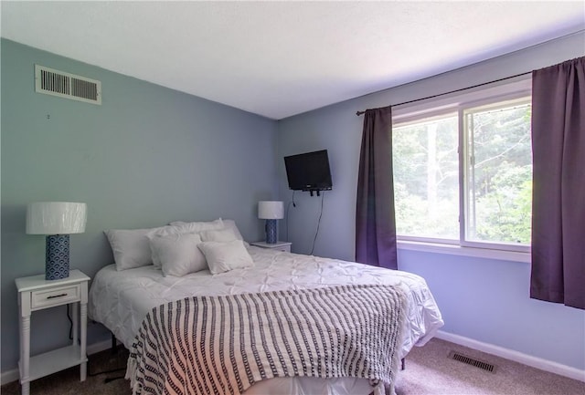 7193 Thompson Trl, Ontario, NY 14519 - photo 13