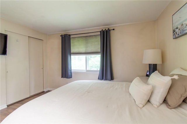 7193 Thompson Trl, Ontario, NY 14519 - photo 17