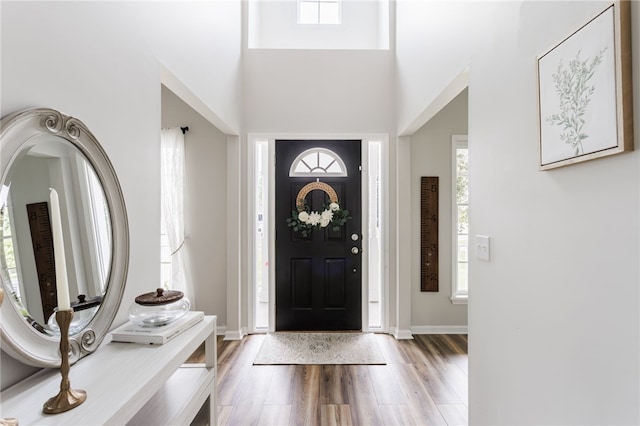 2023 Rainbow Ln, Lima, NY 14485 - entryway with plenty of natural light and light wood-style flooring