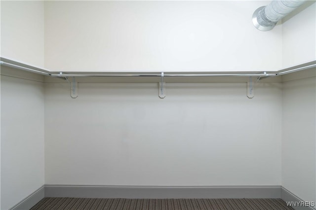 149 Swan St Unit 310, Buffalo, NY 14203 - view of walk in closet
