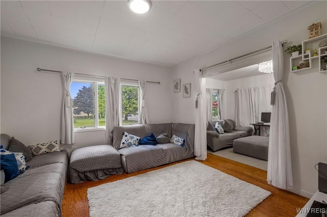 1142 Harlem Rd, Cheektowaga, NY 14227 - living room featuring wood finished floors