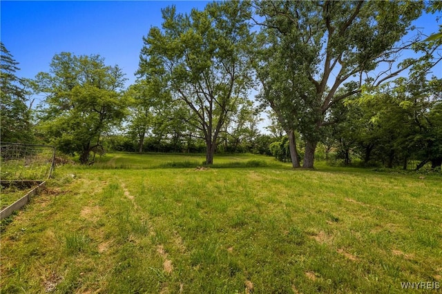 1142 Harlem Rd, Cheektowaga, NY 14227 - view of grassy yard