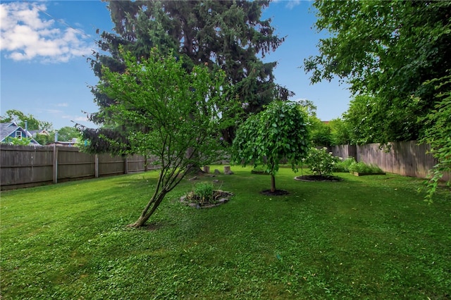 373 Rhode Island St, Buffalo, NY 14213 - view of fenced backyard