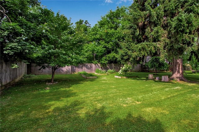 373 Rhode Island St, Buffalo, NY 14213 - view of fenced backyard