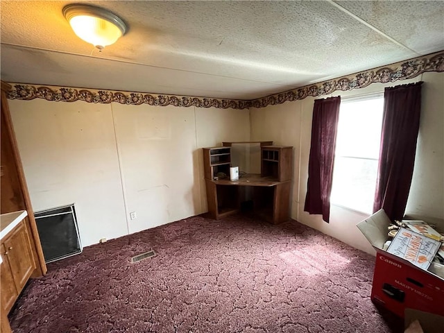 284 E Spencer Rd, Spencer, NY 14883 - photo 29