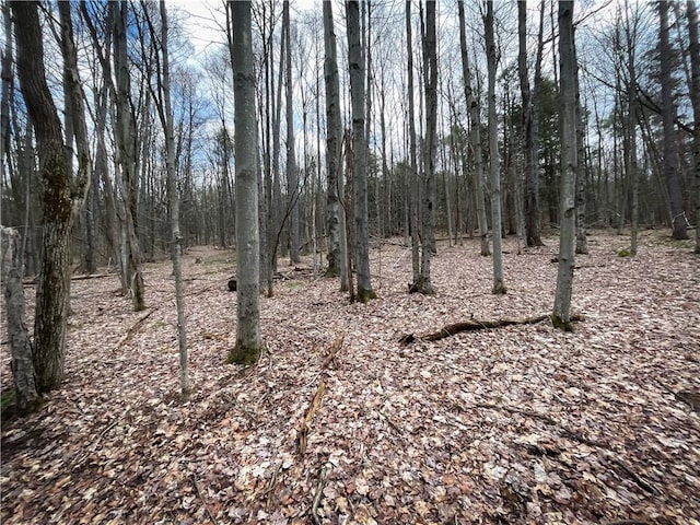284 E Spencer Rd, Spencer, NY 14883 - photo 34