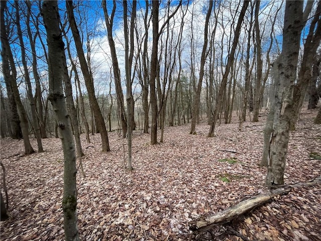 284 E Spencer Rd, Spencer, NY 14883 - photo 35