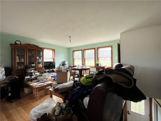 284 E Spencer Rd, Spencer, NY 14883 - photo 6