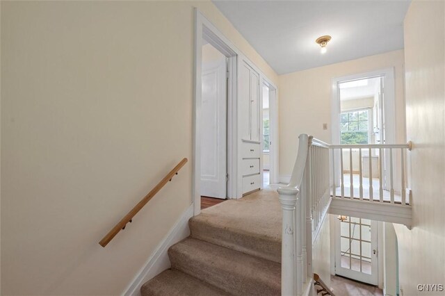 308 Collin Ave, Manlius, NY 13066 - photo 21