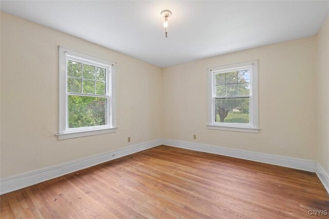 308 Collin Ave, Manlius, NY 13066 - photo 22