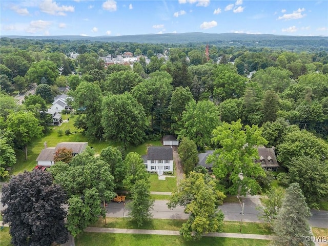 308 Collin Ave, Manlius, NY 13066 - photo 40