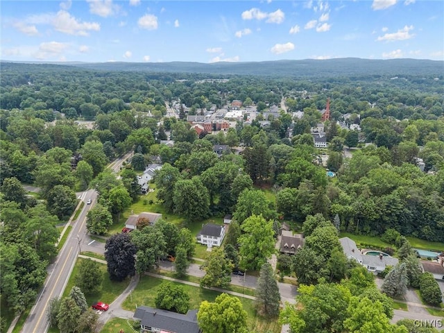 308 Collin Ave, Manlius, NY 13066 - photo 41