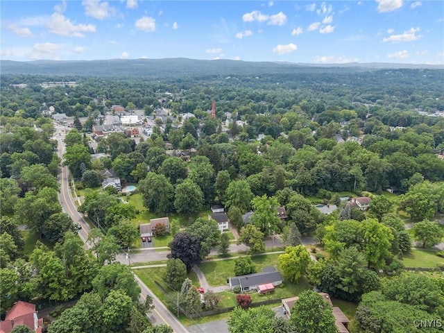 308 Collin Ave, Manlius, NY 13066 - photo 42