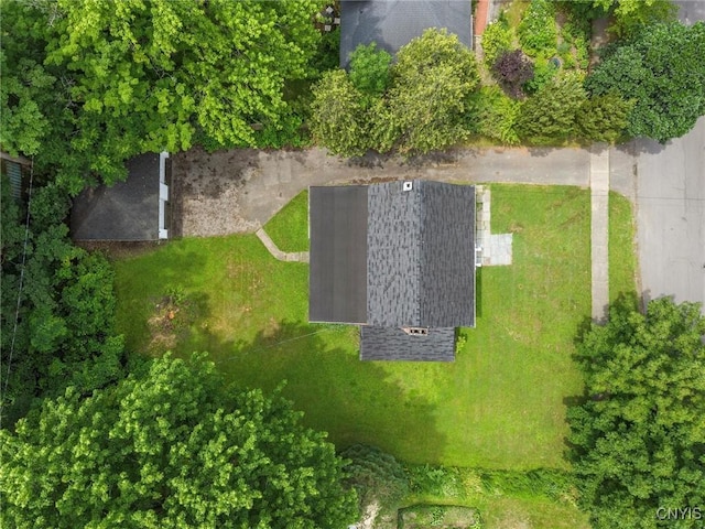 308 Collin Ave, Manlius, NY 13066 - photo 44