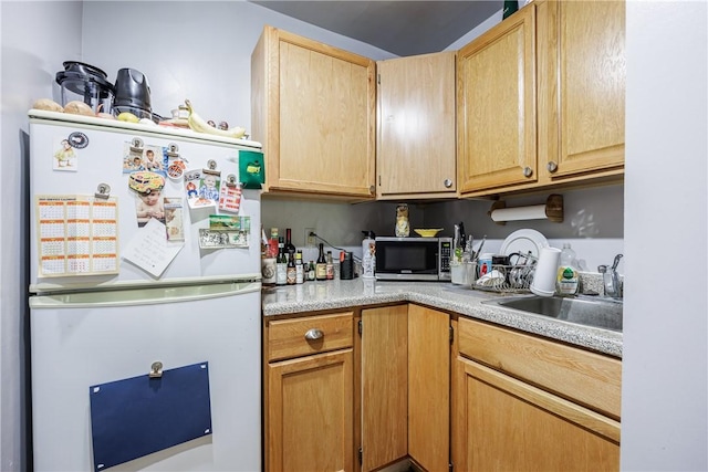 23 Benton St, Rochester, NY 14620 - photo 24