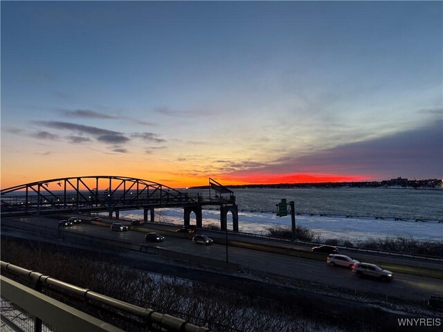 49 Massachusetts Ave, Buffalo, NY 14213 - water view