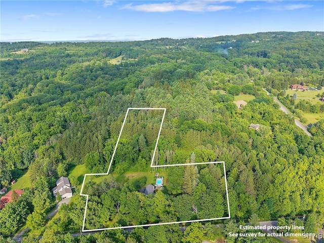 4118 Taylor Rd, Pompey, NY 13078 - photo 44