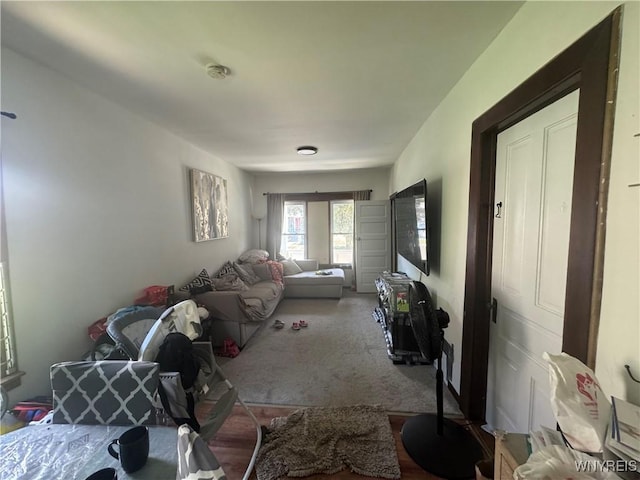 38 Langmeyer Ave, Buffalo, NY 14215 - view of carpeted living area